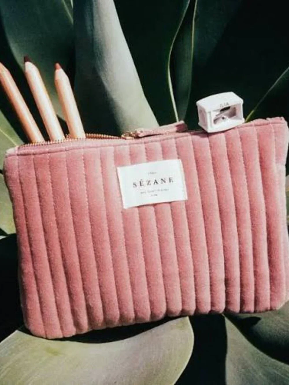Sezane introducing le